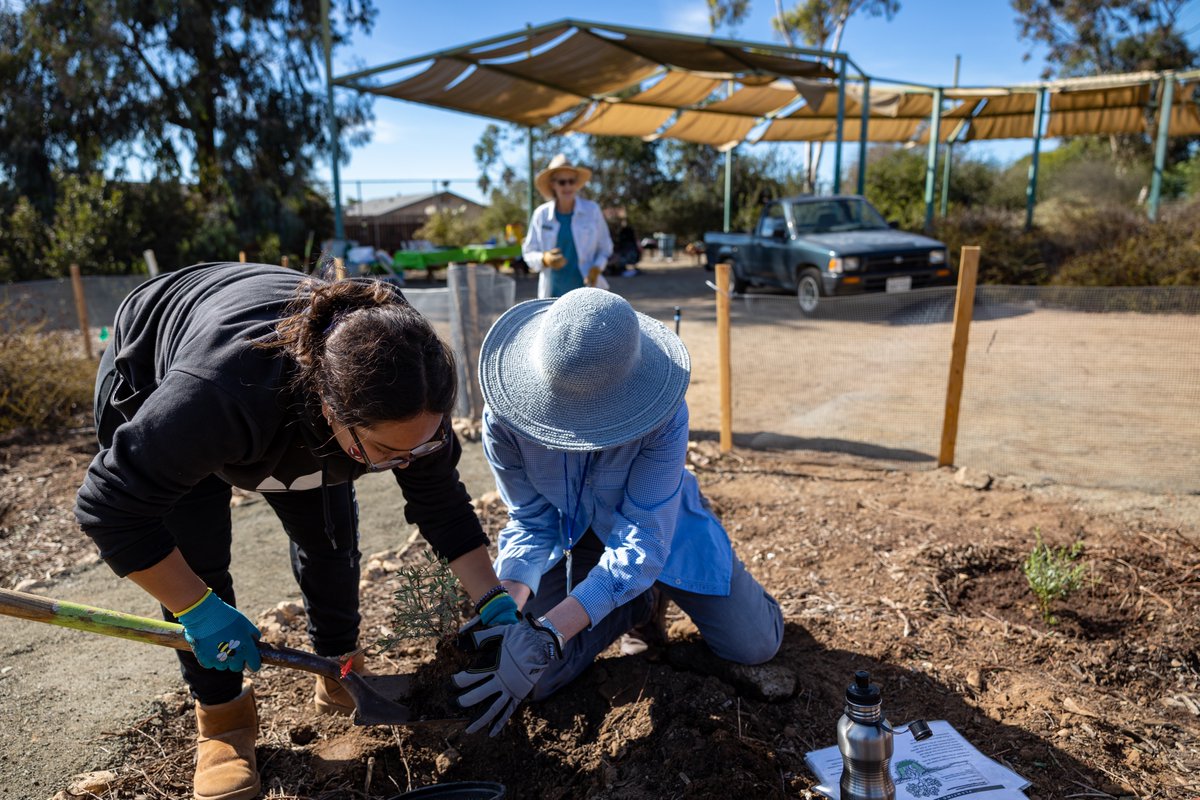 Groundwork San Diego tweet media