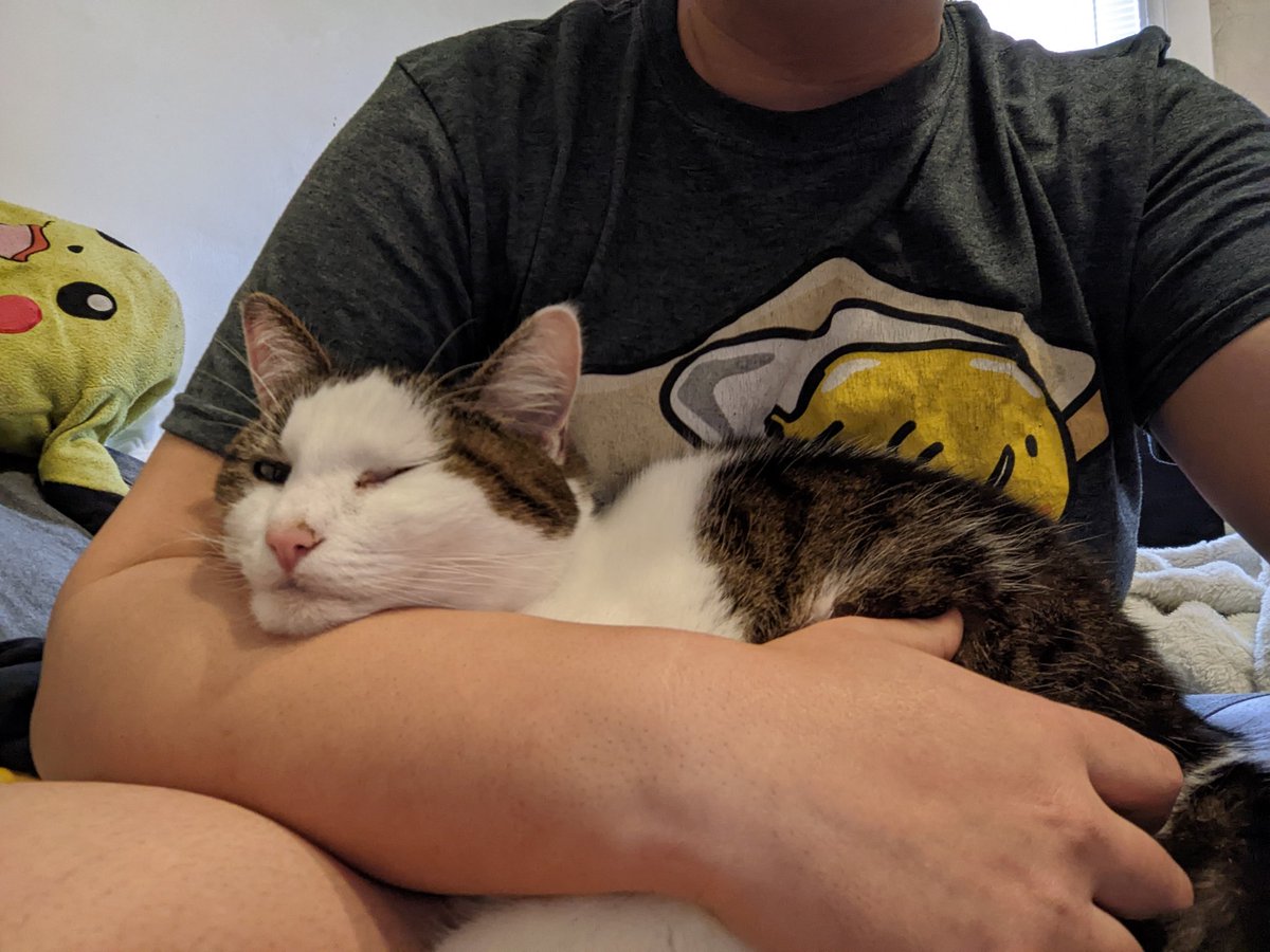 goopbug's tweet photo. lately https://t.co/mWLpPioRRJ