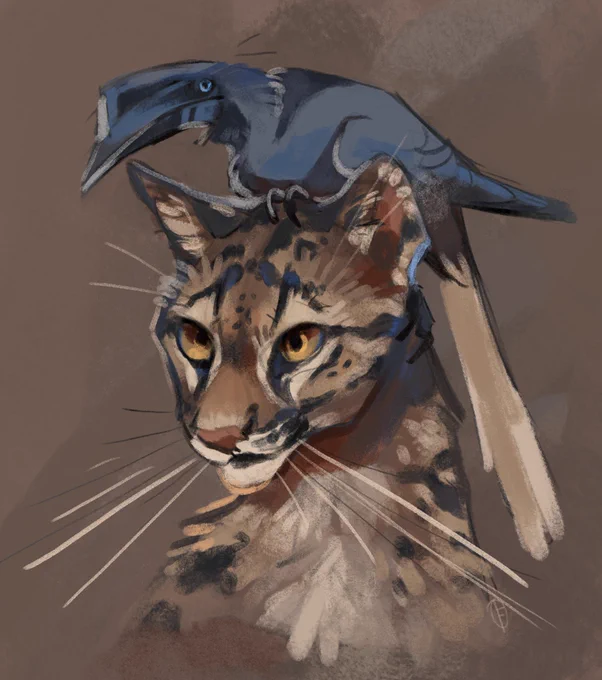 animals n plants n stuff #ArtistOnTwitter 