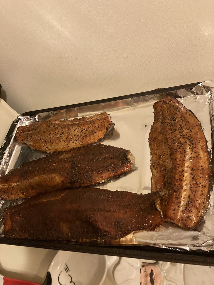 IfYouFollowMatt's tweet photo. #weekendrecap #fishing #trip part 2 from #Erie PA for the #steelhead run! Little #smoker action cooking up our catches!  #chef #athomechef #tastyeats #foodie start to finish #smokedfish https://t.co/Y6qlwqcYf3