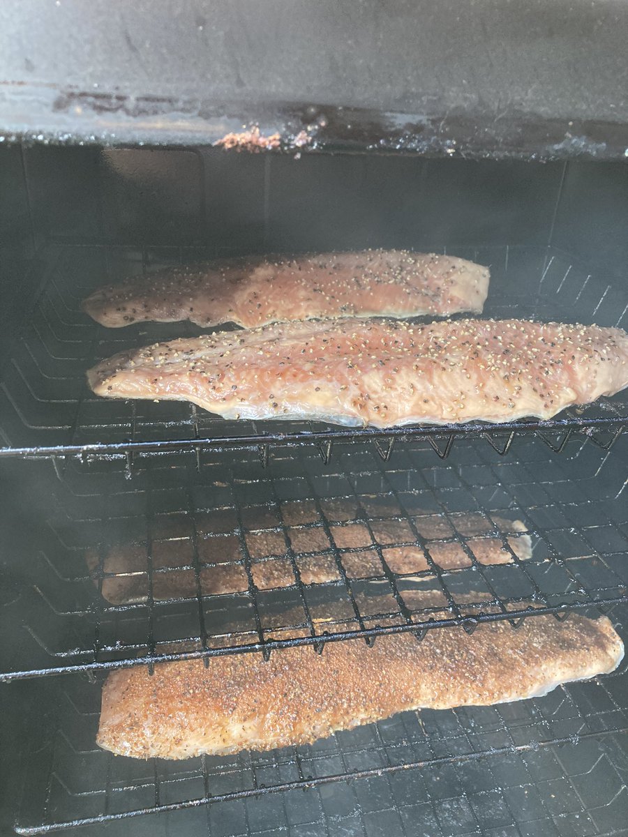 IfYouFollowMatt's tweet photo. #weekendrecap #fishing #trip part 2 from #Erie PA for the #steelhead run! Little #smoker action cooking up our catches!  #chef #athomechef #tastyeats #foodie start to finish #smokedfish https://t.co/Y6qlwqcYf3