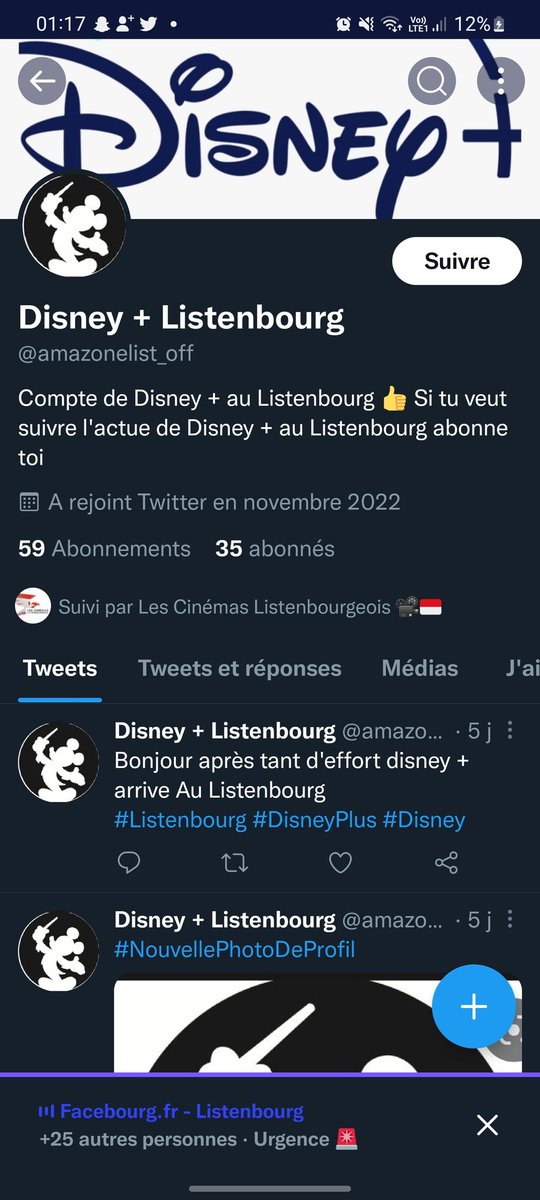 Disney+ Hérault tweet media