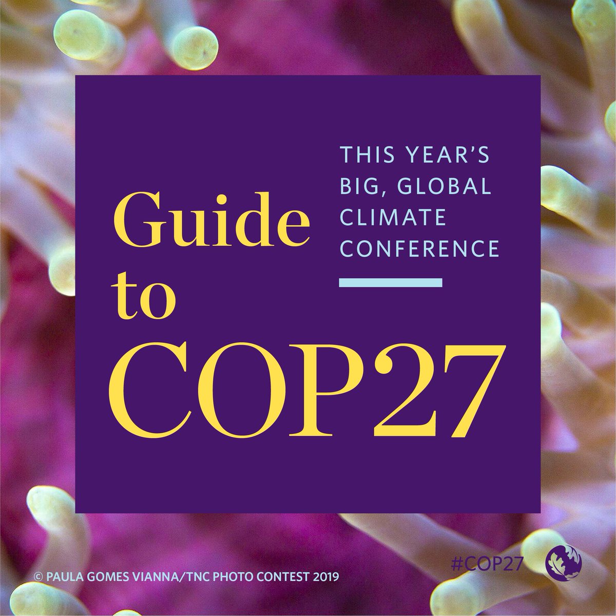 It's that time again: representatives from nearly 200 countries are meeting to coordinate global #ClimateAction for the next year. 🌍 Here's what you need to know: nature.ly/3UsbEn0