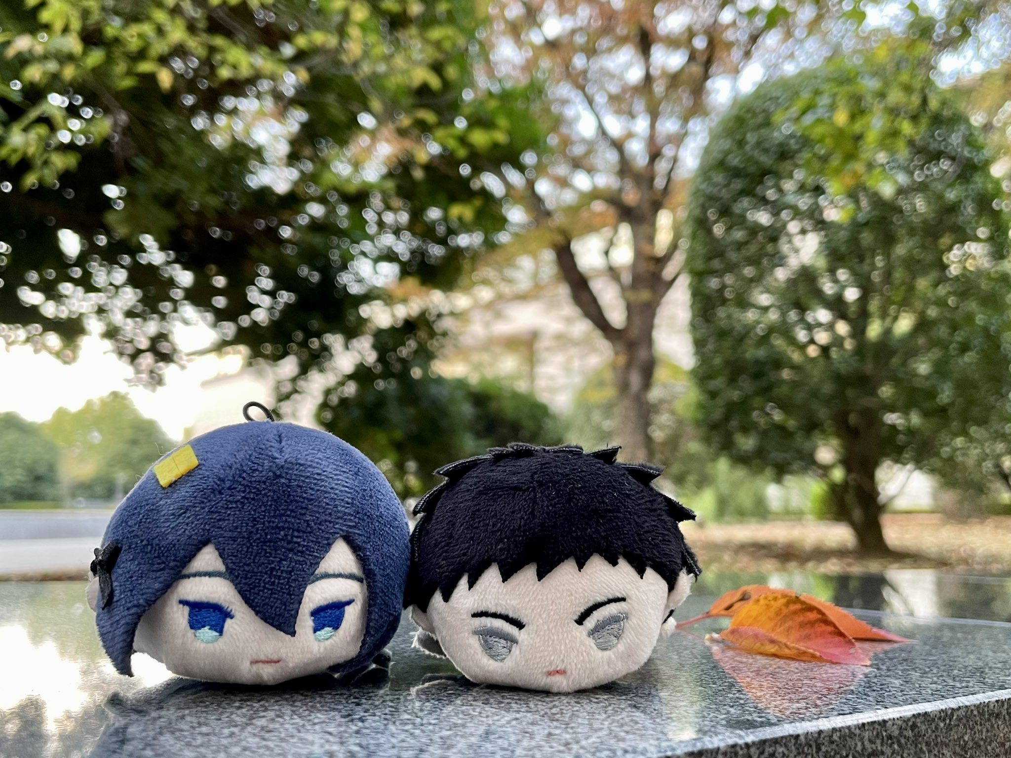 史上一番安い もちマス 着ぐるみ もちもちマスコット プライズぬい 13点 おもちゃ 人形 Tin Ipb Ac Id