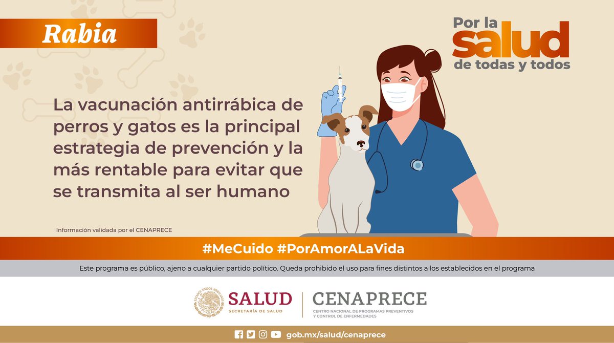SSalud_mx's tweet photo. Datos sobre la #Rabia 🐾
 
La enfermedad puede prevenirse vacunando a nuestras mascotas 💉 🐕🐈
 
¡Vacúnalos! 💉🩺
 
#MeCuido #PorAmorALaVida https://t.co/pIy4w9zmw8