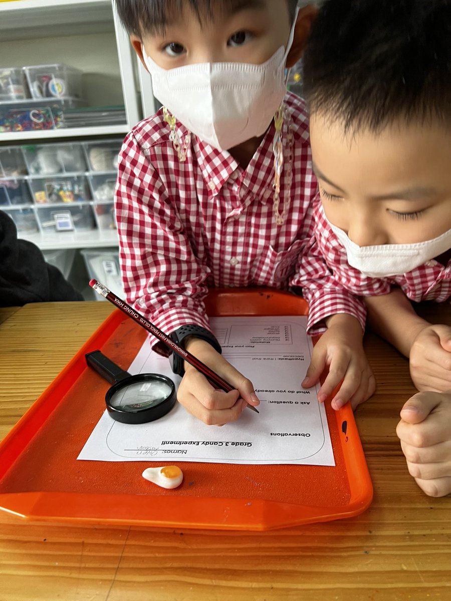 educ8torsarah's tweet photo. G3s are learning about the Scientific Method the best way possible- candy experiments! #TISMacao #TISSteam #teamwork @TISMacao https://t.co/7ezn2zJuFh