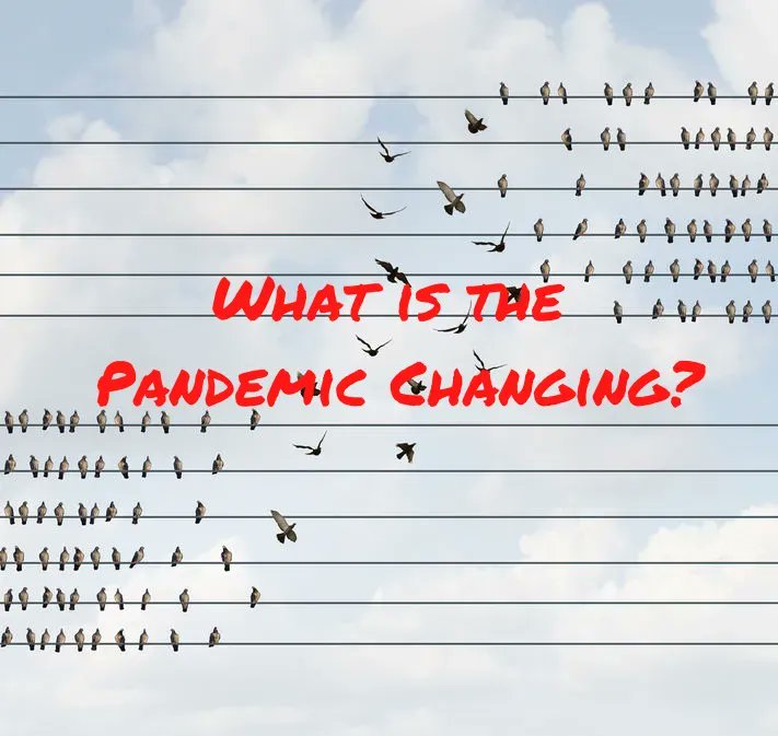 We are living through one of a life time shift. SO I ask the question ...
What is the Pandemic Changing in the World? Everything! - Career Pivot buff.ly/2NgCb6e #boomerjobtips #COVID19 #career #Industry