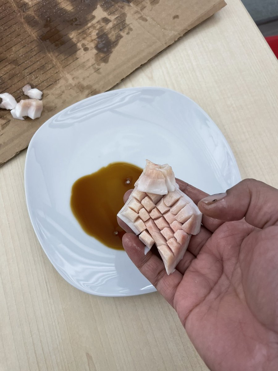 Happy Inuit creatures Day 🤍🇨🇦