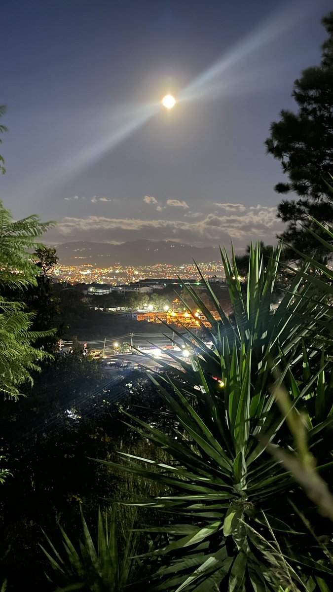 Rebeca_MG03's tweet photo. Ame la vista 
Ame la luna 
Ame como me hizo sentir ✨ https://t.co/HrakmCUp2Y