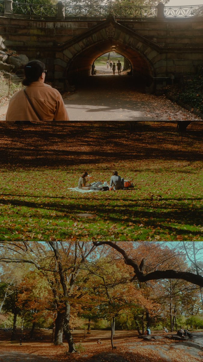 itsamsamjpg's tweet photo. New York through my eyes 

(open for a surprise) https://t.co/uKh71PnGcm