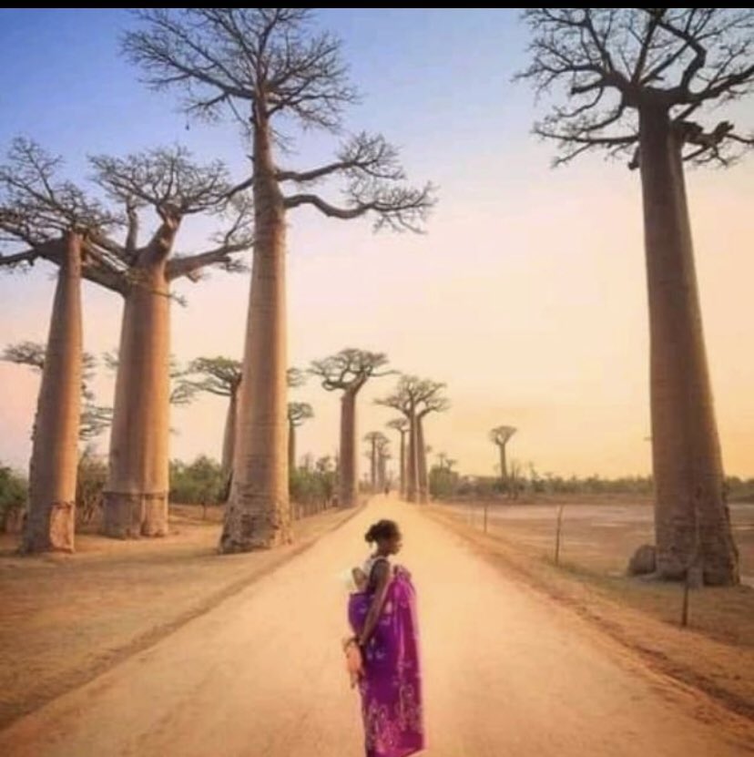 brian_jallow's tweet image. Some of my paintings !.