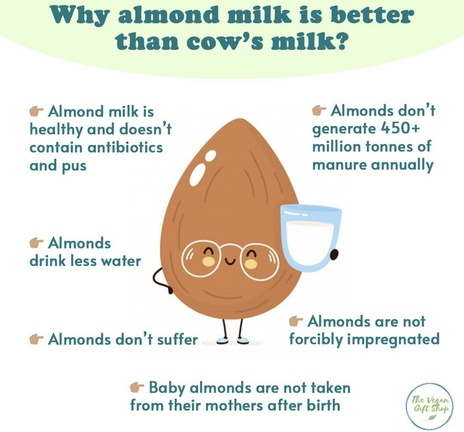 veganfuture's tweet photo. Why almond milk is better than cow's milk https://t.co/I3v0RC1LLP