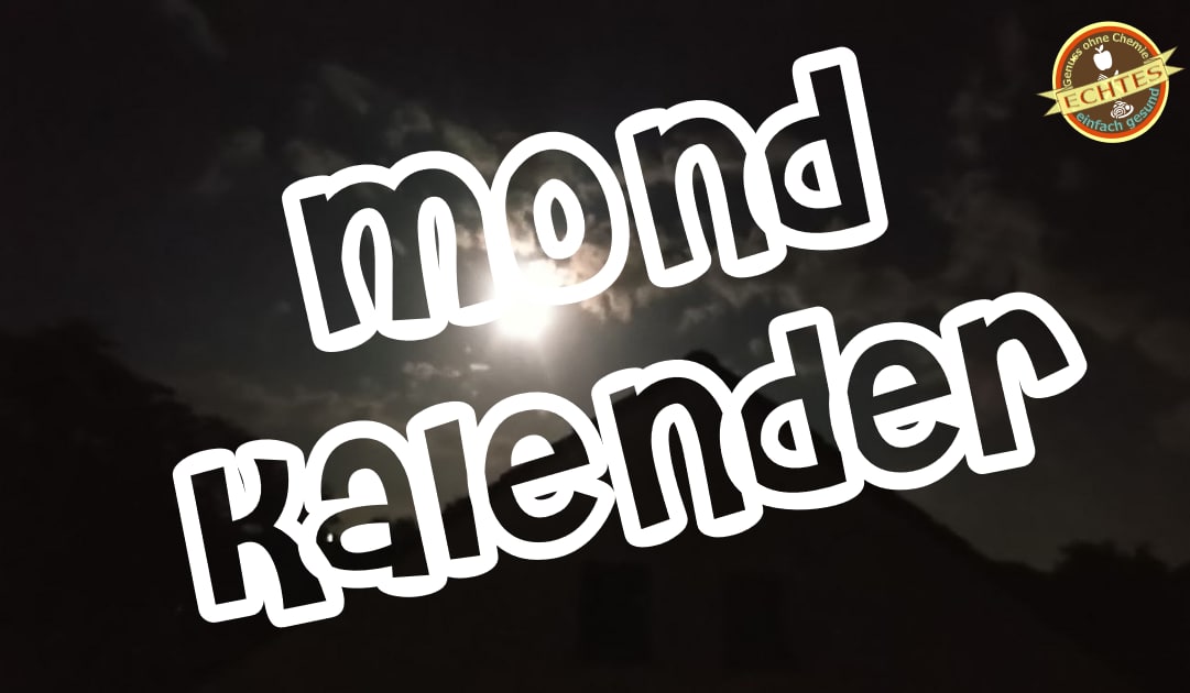 2nc's tweet photo. Mondkalender am 08.11.2022
🌕 Heute: Beobachten 👀

Wir haben Vollmond, einen Erde- und Wurzeltag (https://t.co/xHDQnTiX5I) im Stier. 

Vollmond ist ein Wendepunkt zwischen Loslassen und Zulassen. Halte inne. Bewege nichts. Lasse ruhen. Beobachte und sei achtsam ❤️ https://t.co/gSPQVvOhpc