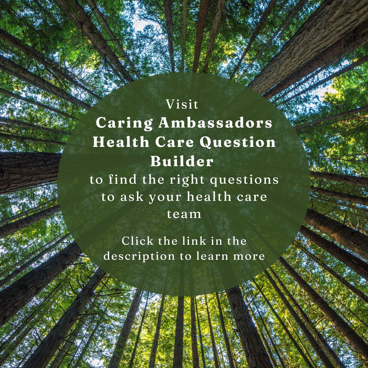 Caring Ambassadors tweet media
