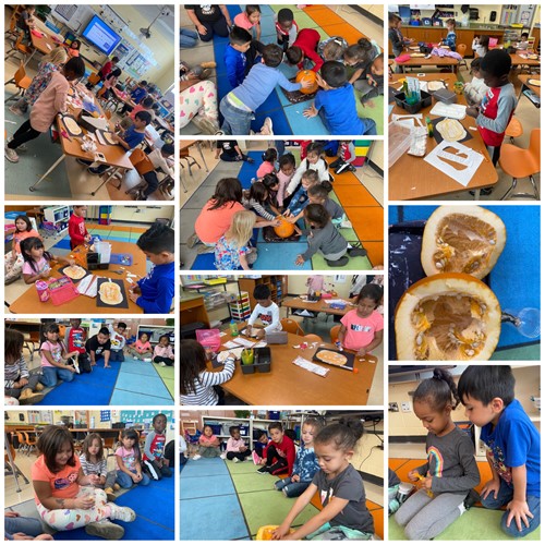 Mrs. Meadows Kindergartners have been learning about pumpkins.
hamiltoncitysd.oh.schools.bz/3/News/3631