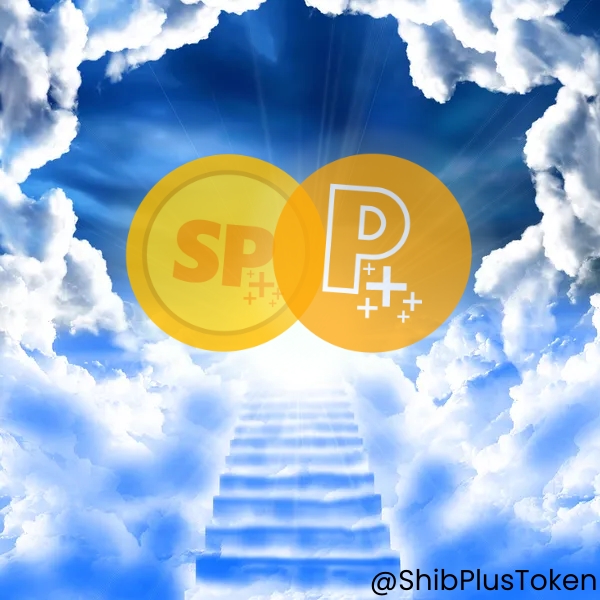 SHIBPLUS INFO tweet media