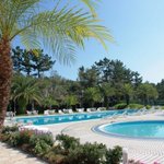 ツイートに含まれる画像