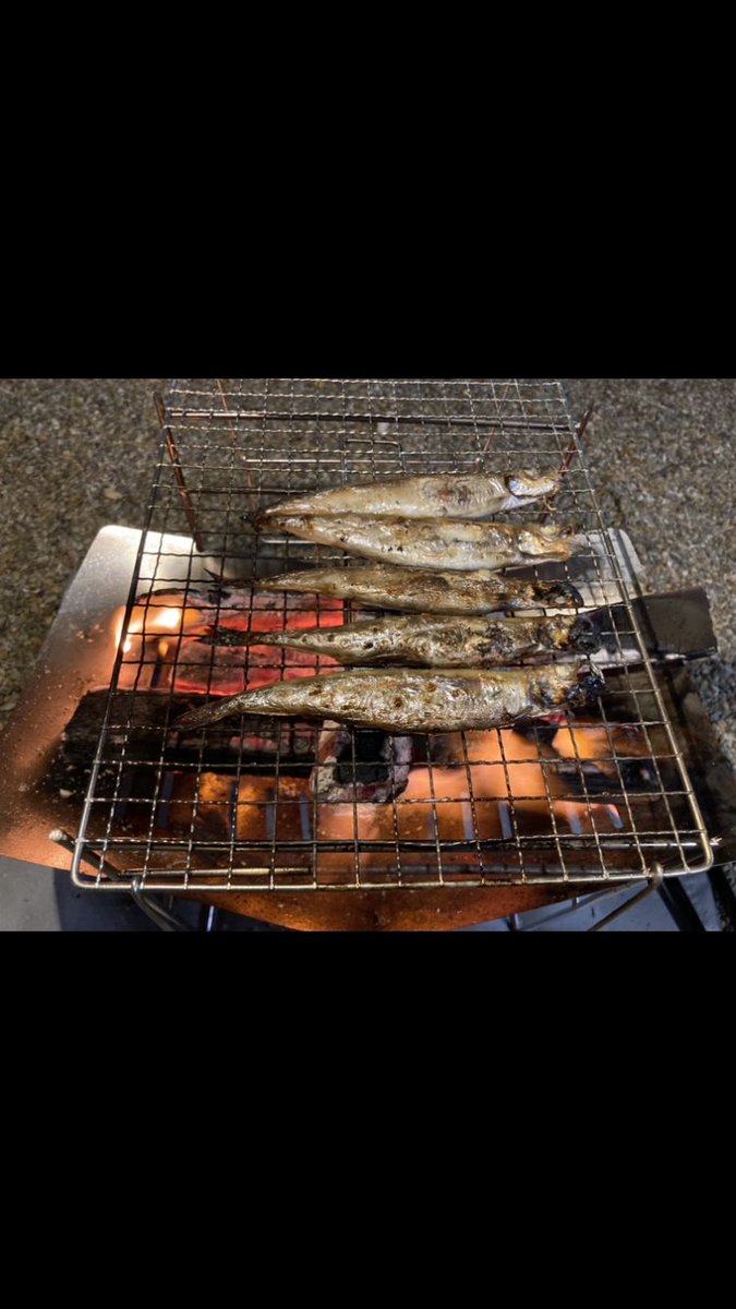 docchi24's tweet photo. 生きてます笑
それなりに楽しく生きてます笑🤣 https://t.co/mrtgwC3R4D