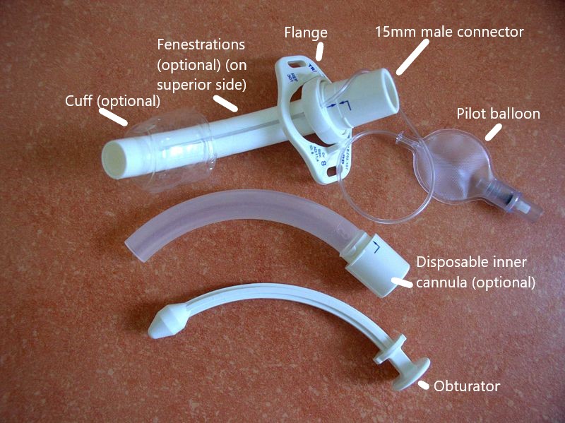 Gregory Wu (@micunerd) on Twitter photo The anatomy of a tracheostomy tube <a href="/AMCResus/">Albany Med Resuscitation Fellowship</a> #emergencymedicine #resuscitation #emccm The anatomy of a tracheostomy tube <a href="/AMCResus/">Albany Med Resuscitation Fellowship</a> #emergencymedicine #resuscitation #emccm