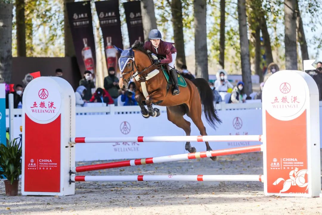 CRAchinaracing's tweet photo. The 2022 China Young Horse Sheerwood Grand Prix was held at Beijing Sheerwood Equestrian Club from November 5 to 6. President Mr. Jia and secretary general Mr. Yue were invited to give speech during the opening ceremony. https://t.co/lYyDLYN0hT