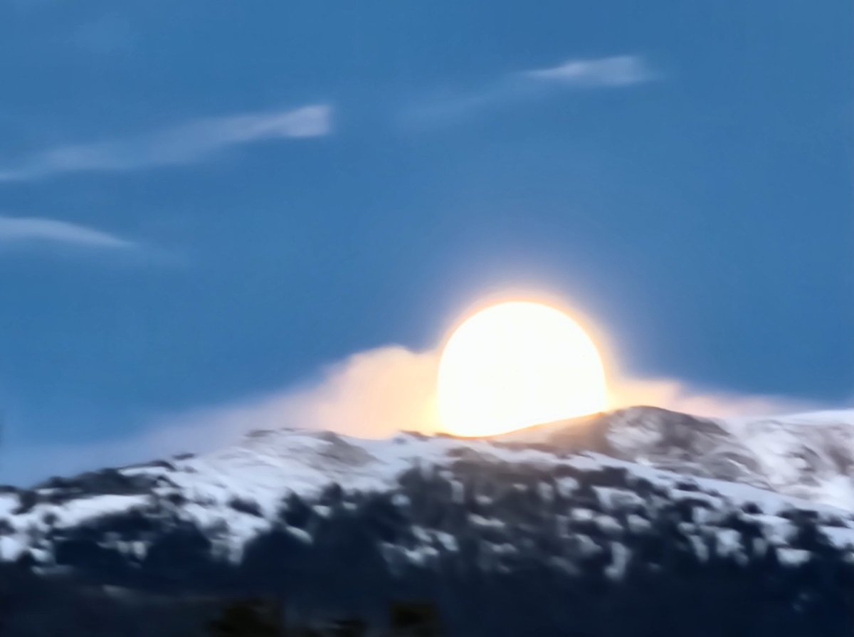 Grover Bynum tweet media