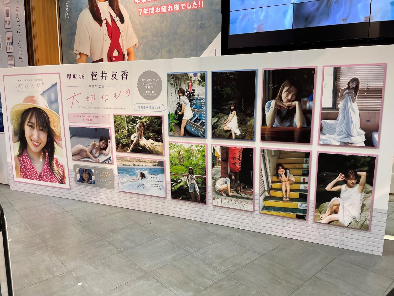 緑林シリーズ 菅井友香 サイン入りパネル 櫻坂46 - crumiller.com