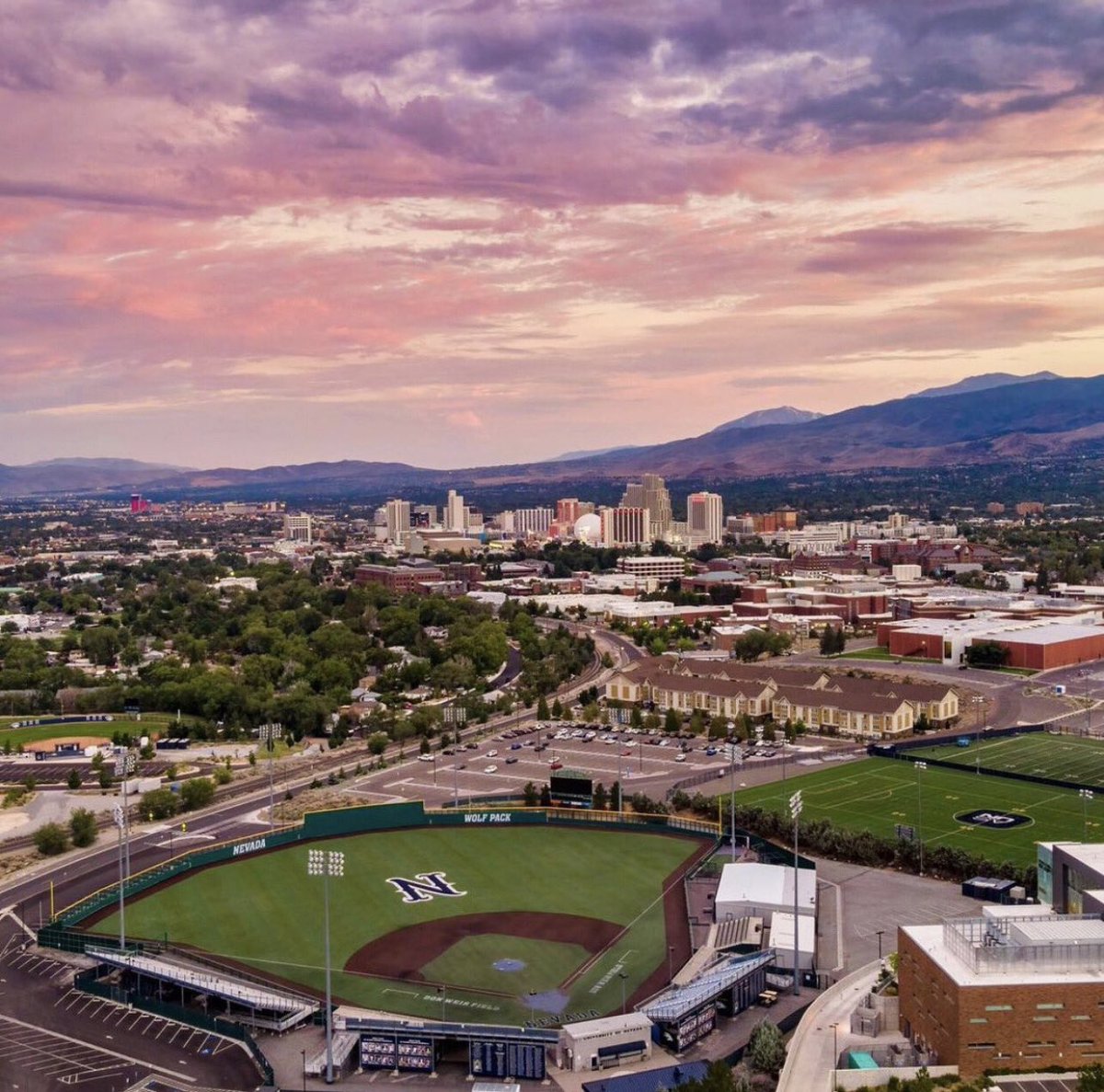 Peyton Fosher tweet media