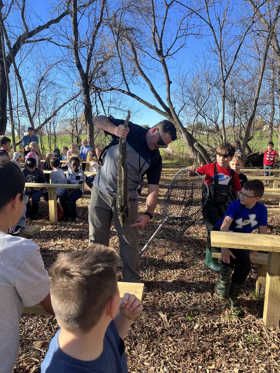 mrs_bitetto's tweet photo. We had a great lesson about salmon life cycles &amp; migration today with Mr.Booth! 🍁💕 #thankful @QuestElementary https://t.co/MzTdVU3Etv
