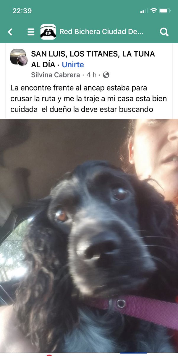 Adriana (@adriana43587622) on Twitter photo 