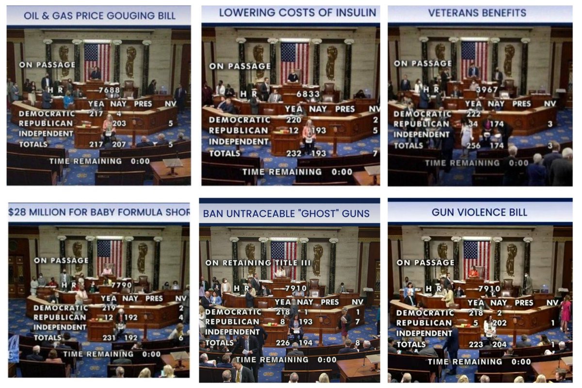Politics_Pink's tweet photo. @RepStefanik You voted against everything while you shill for election deniers and cheer on the insurrectionists. You BLOCKED EVERY BILL --that Helps PEOPLE. #TeamCastelli #NY21 vote @CastelliMatt https://t.co/UIXdjjksRo