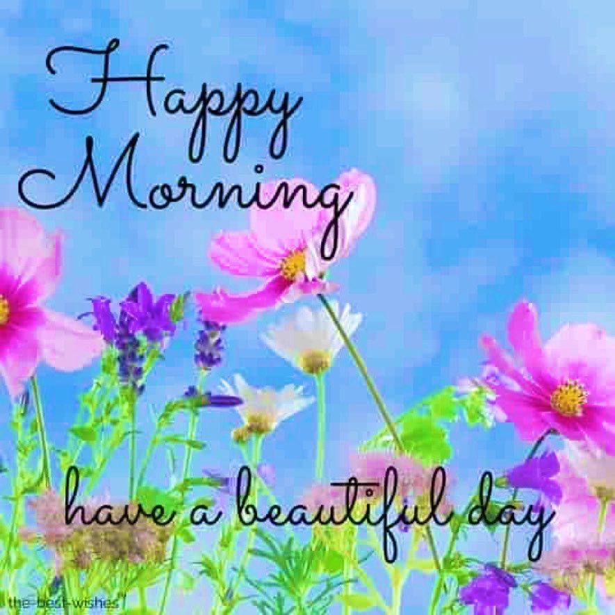 It’s silly o’clock again. Have an early appointment today but not this early!  Will catch up later💕