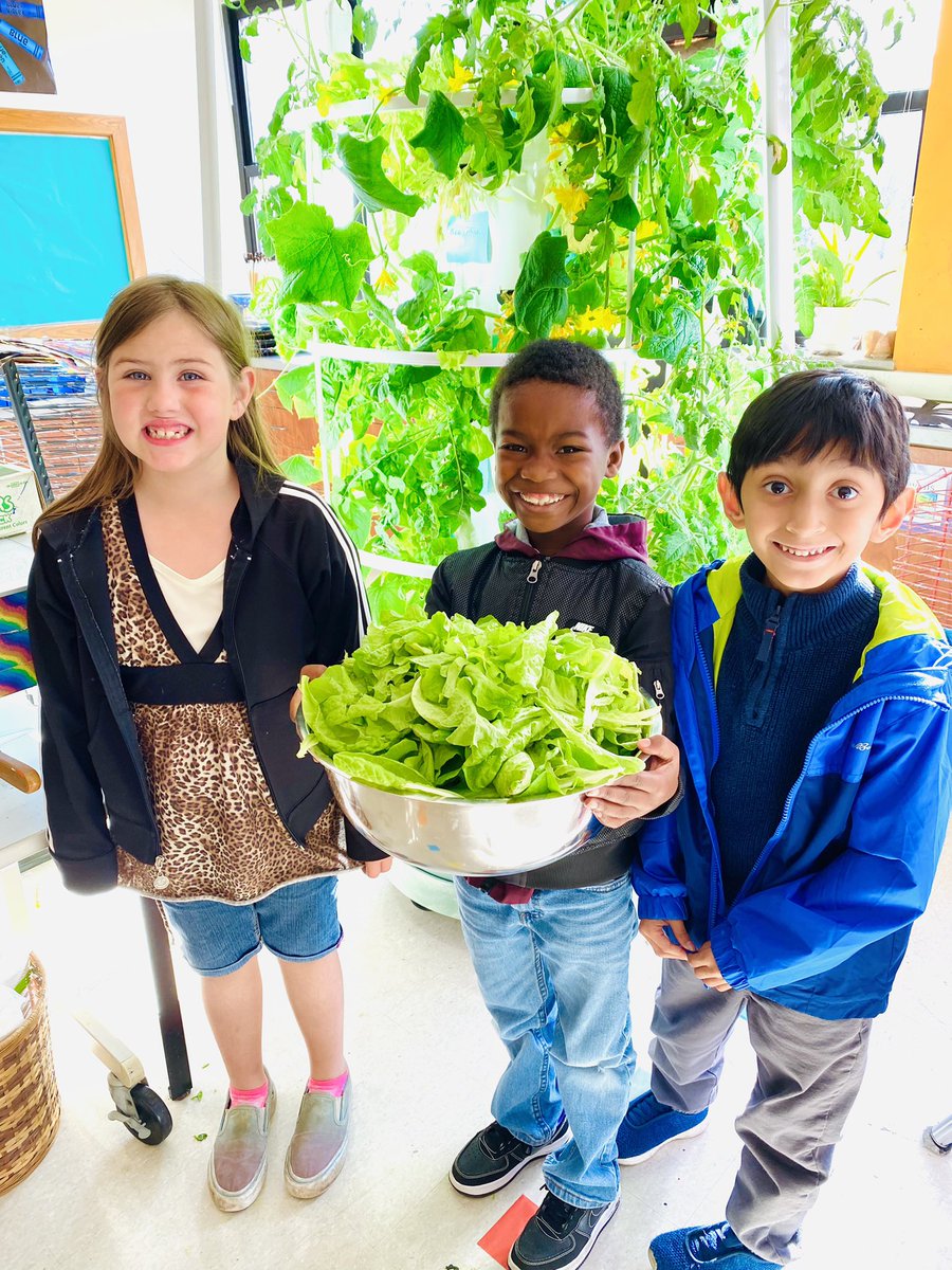 artdudette's tweet photo. From classroom garden to cafeteria! Now that’s fresh, healthy and delicious! #southschool #schoolgarden #indoorgardening @TowerGarden @JCHealthyKids https://t.co/u3QhE5KCfP