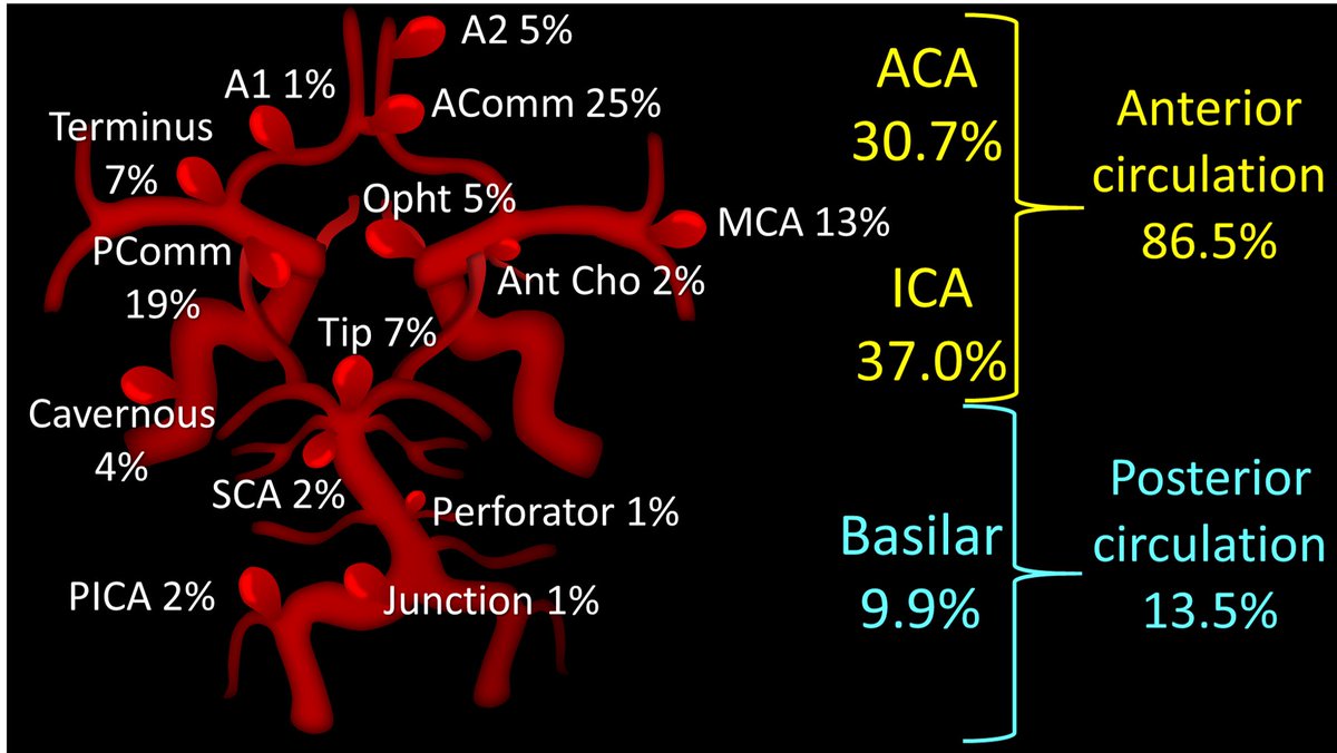 My attending once said, “If you don’t want to miss something, you have to know where look for it!”

Intracranial #aneurysms may occur at many locations, but overwhelming at the ACOM &amp; PCOMM. Look hard at these regions!

#neurosurgery #neurotwitter #MedTwitter #meded #neurorad