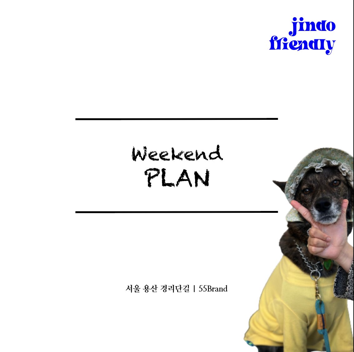 #진도프렌들리 #진플_주말
주말에 여기 어때?

👉 instagram.com/p/CkrrFjRSwk6/…
👉 cafe.naver.com/jindofriendly/…

💙