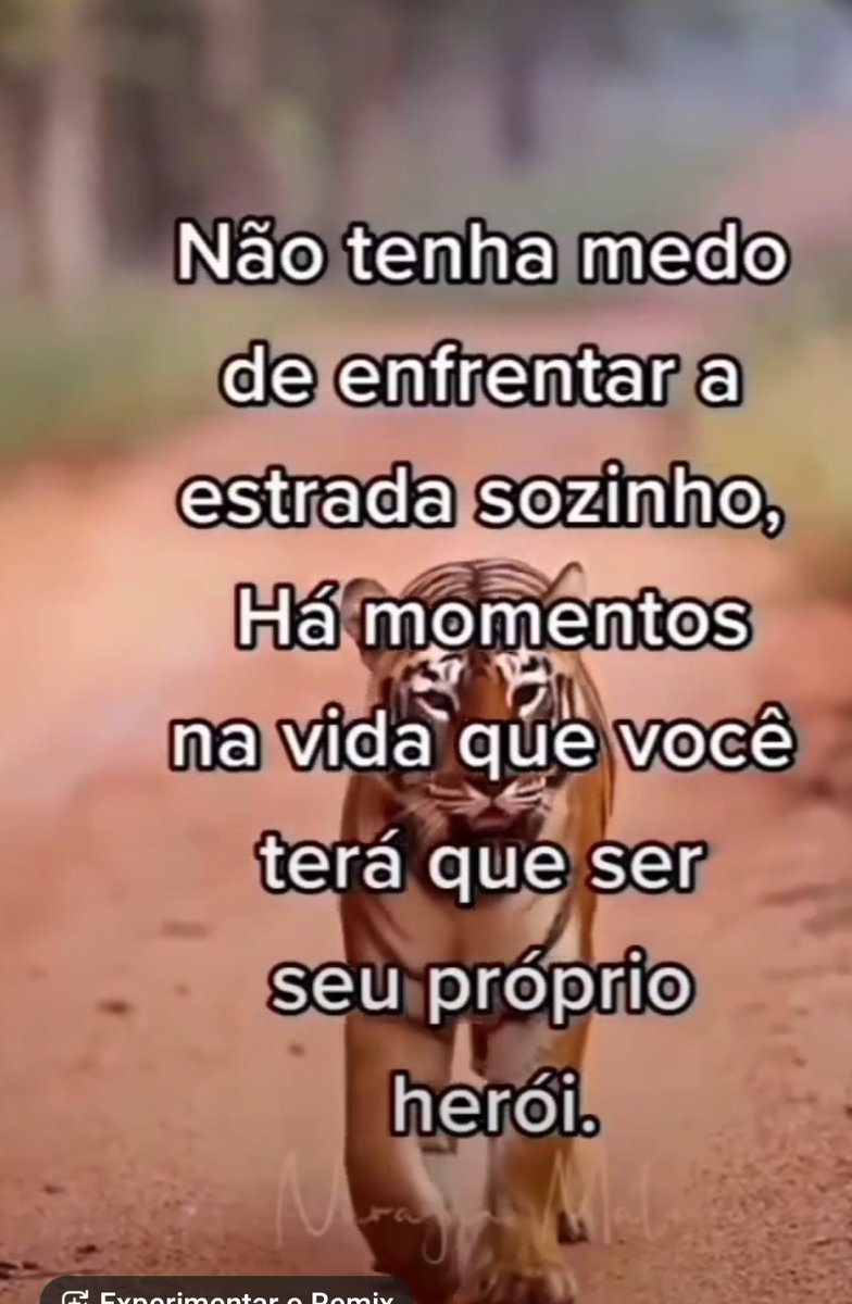 Renata Simões Borgo Torás (@morenaborgo) on Twitter photo 