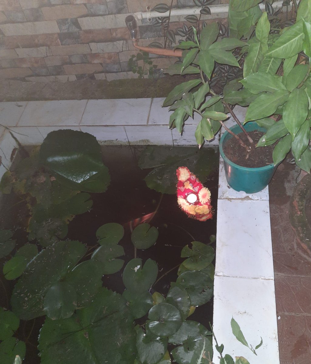 aarati7's tweet photo. Subha  Karthika Purnima 🙏 https://t.co/H91OM7vgM4
