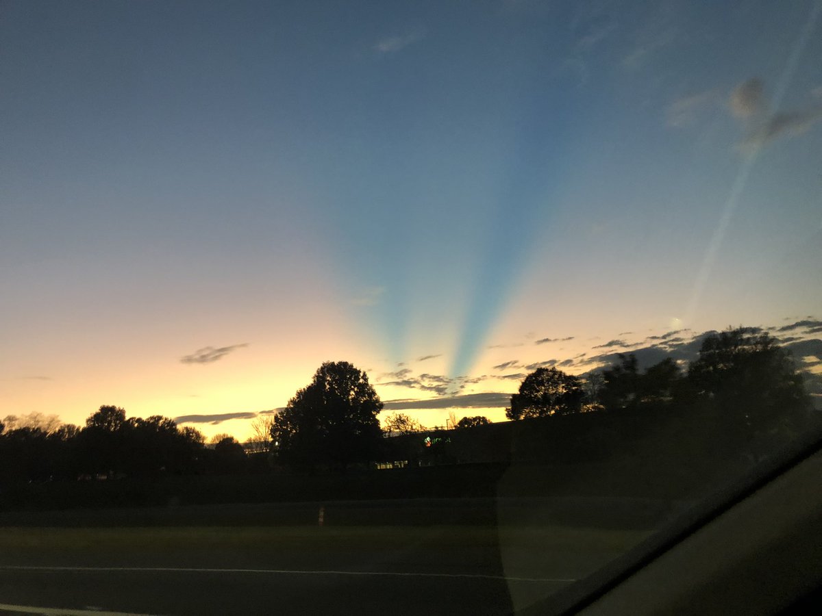 David Zimmerman 🌻🏀 tweet media