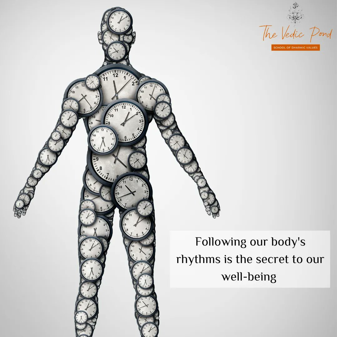 Namrata_SriHari's tweet photo. #bodyrhythms #circadianrhythms #dinacharya #thevedicpond https://t.co/6vbT62XMCv