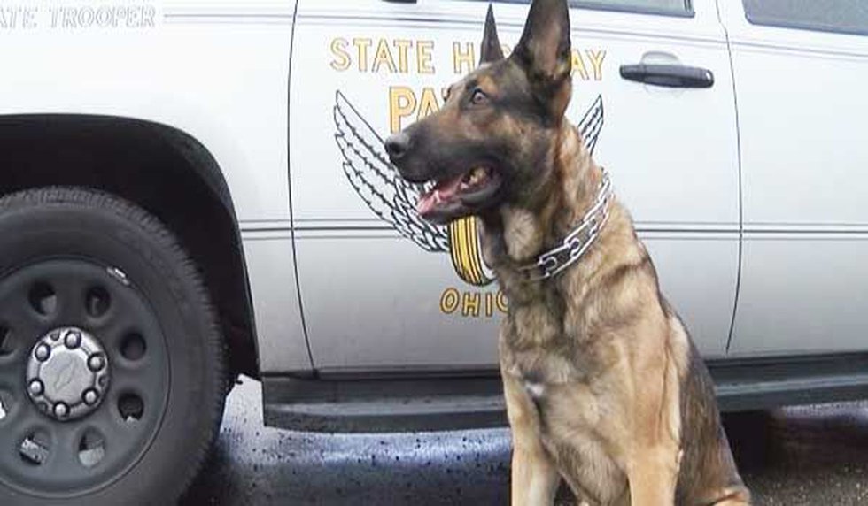 OnPatrolK9's tweet image. Ohio State Highway Patrol: Trooper seize $9 million of cocaine after traffic stop 
👊220 pounds, open borders with an evil purpose.
K9 found the stash, no names
wlwt.com/article/ohio-t… 
@OSHP
#ThinBlueLine #dog #K9 #police #OPLive #OnPatrolLive @OfficialOPLive