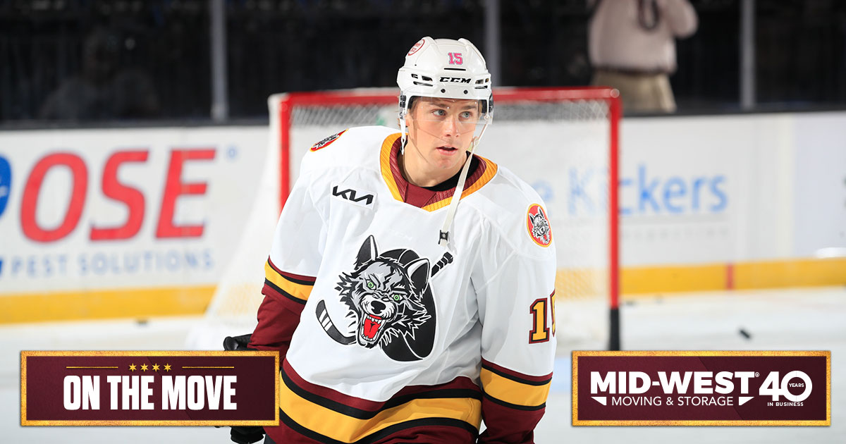 x- Chicago Wolves tweet media