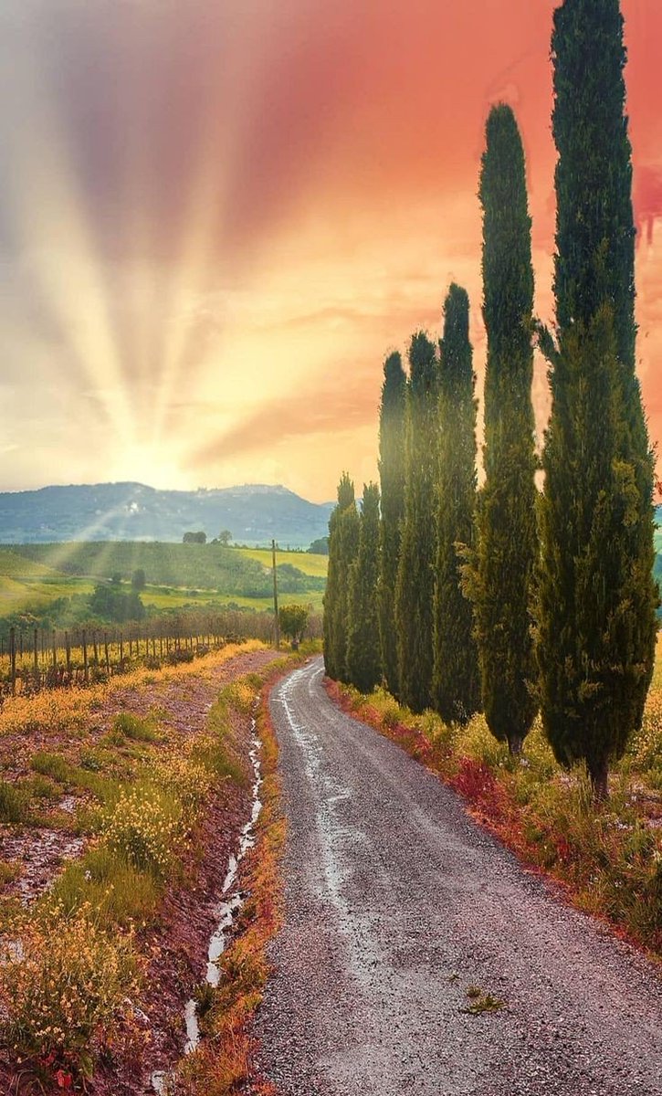 Good morning, have a wonderful day 🦋

Tuscany, Italy
