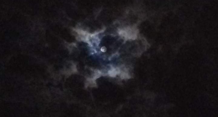 Lunes 7 de Noviembre, 21h50, desde monte adentro disfrutando de noche de luna, horas previas al eclipse lunar. Alivio a tanto dolor y desangre de la Patria.
cc:<a href="/Postalesdecampo/">Postales de campo</a> <a href="/inocarec/">INOCAR</a> <a href="/IGecuador/">Instituto Geofísico</a>
#poupettekhenza #Ecuador