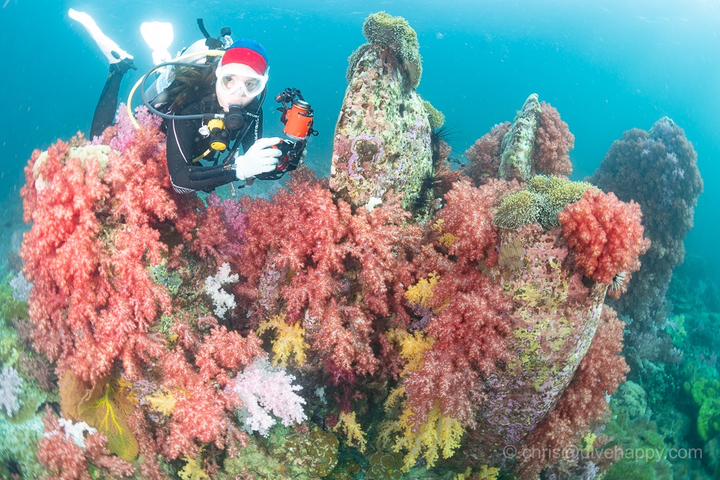 divehappy tweet media