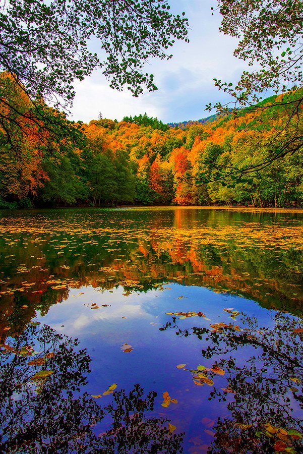 ☀️
Good morning 

#nature #photography