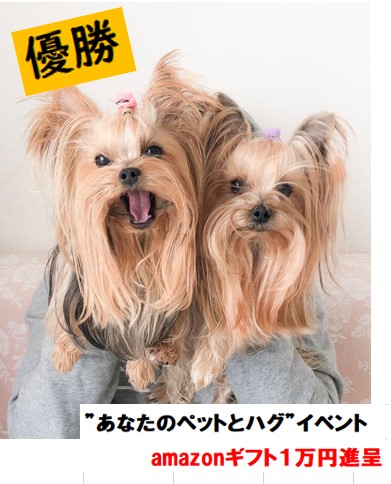 貴方の素敵なペットとのハグ写真　しびれました
優勝🚀　おめでとうございます👑　#キャンペーン #WLGiveaway　#犬のいる生活