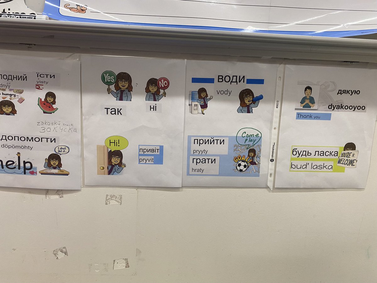 Shannon Creedon Bailey tweet media