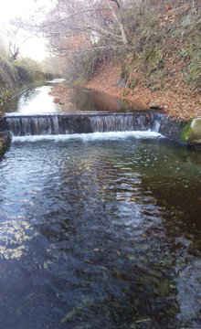 古潭川 釣り 気胸研究所