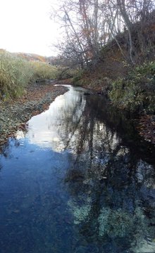 古潭川 釣り 気胸研究所