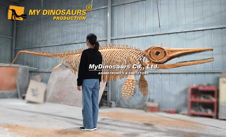 MyDinosaur2010's tweet photo. life-size Ichthyosaur Himalayasaurus Skeleton #skeleton #Himalayasaurus #Ichthyosaur #mydinosaurs https://t.co/hQD7qw40t8 https://t.co/7a6ONqVm3u