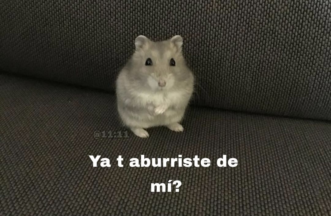 *Alguien hablándome un poquito seco*

-Yo: